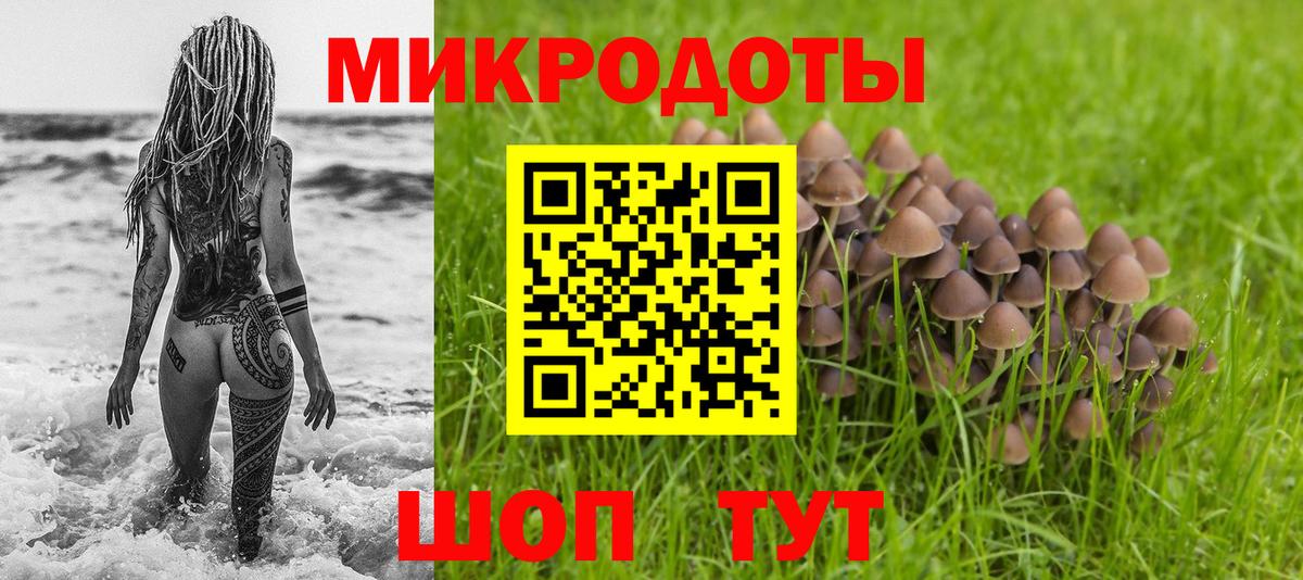 Галлюциногенные грибы мицелий  Вход с VPN  Ефремов 